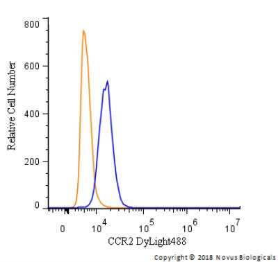 Flow Cytometry: CCR2 Antibody [DyLight 488] [NBP1-48338G] - An intracellular stain was performed on THP-1 cells with CCR2 Antibody NBP1-48338G (blue) and a matched isotype control (orange). Cells were fixed with 4% PFA and then permeabilized with 0.1% saponin. Cells were incubated in an antibody dilution of 2.5 ug/mL for 30 minutes at room temperature. Both antibodies were conjugated to DyLight 488.